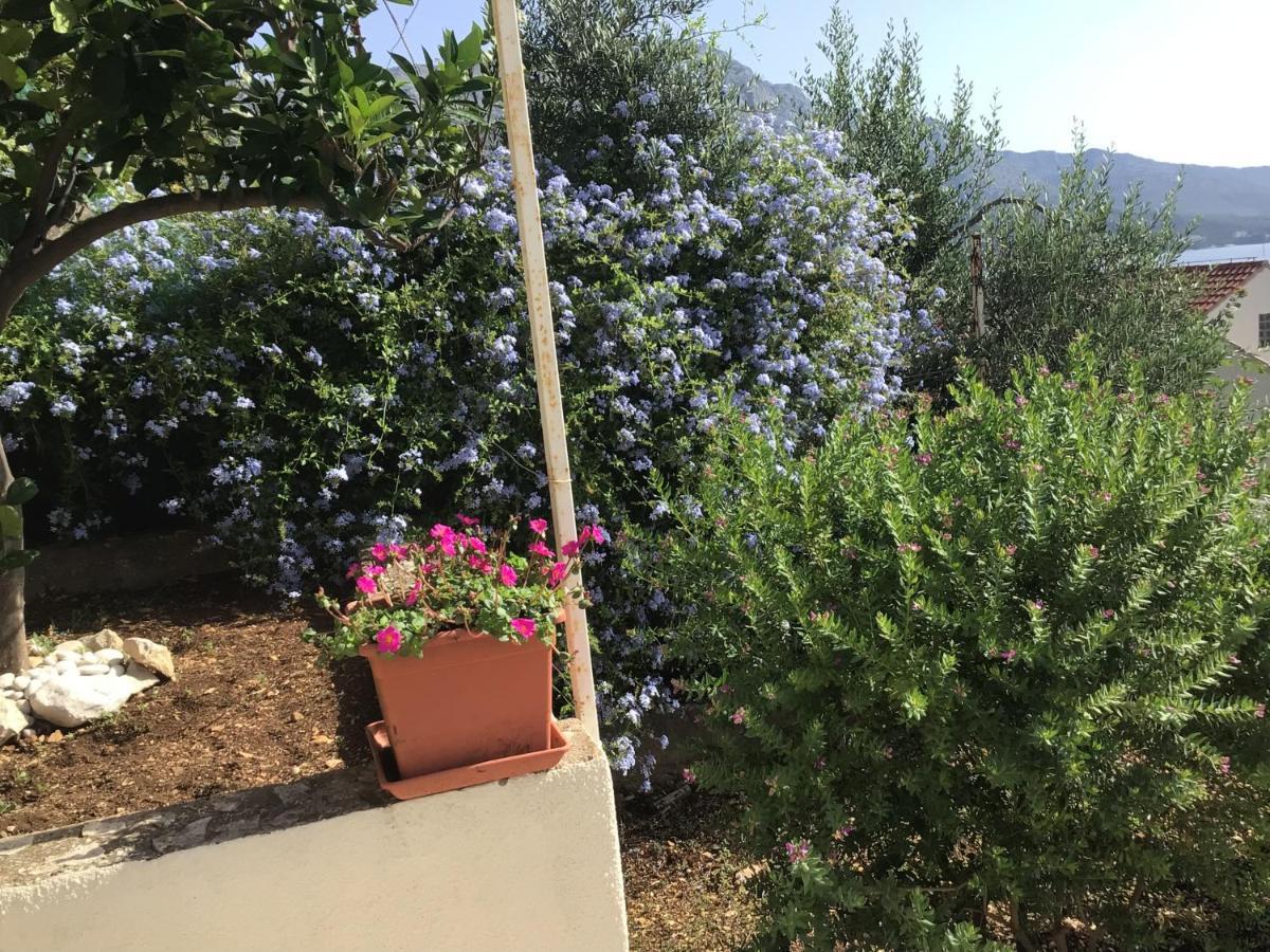 Lux Apartments Κόρτσουλα Εξωτερικό φωτογραφία