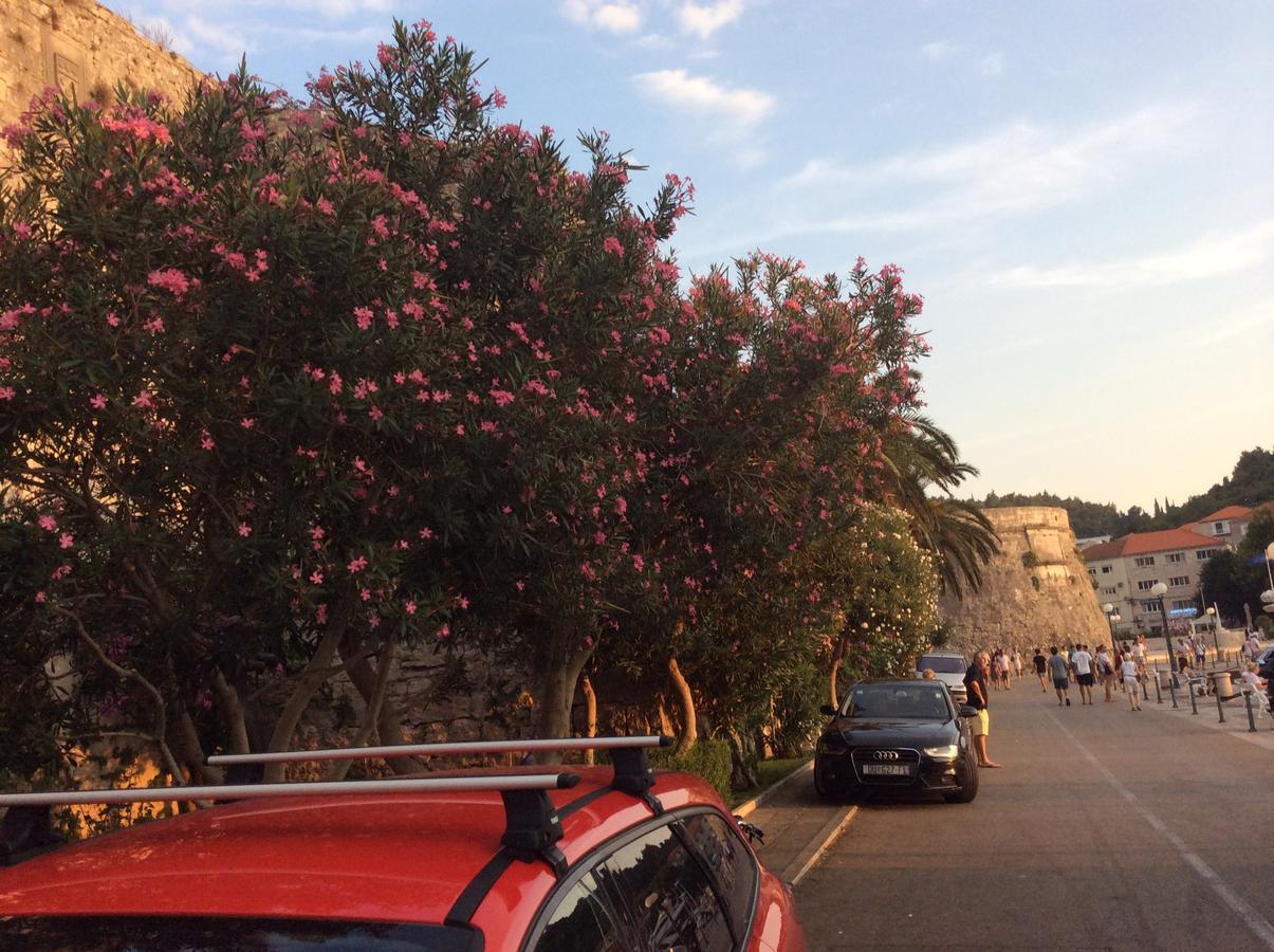 Lux Apartments Κόρτσουλα Εξωτερικό φωτογραφία
