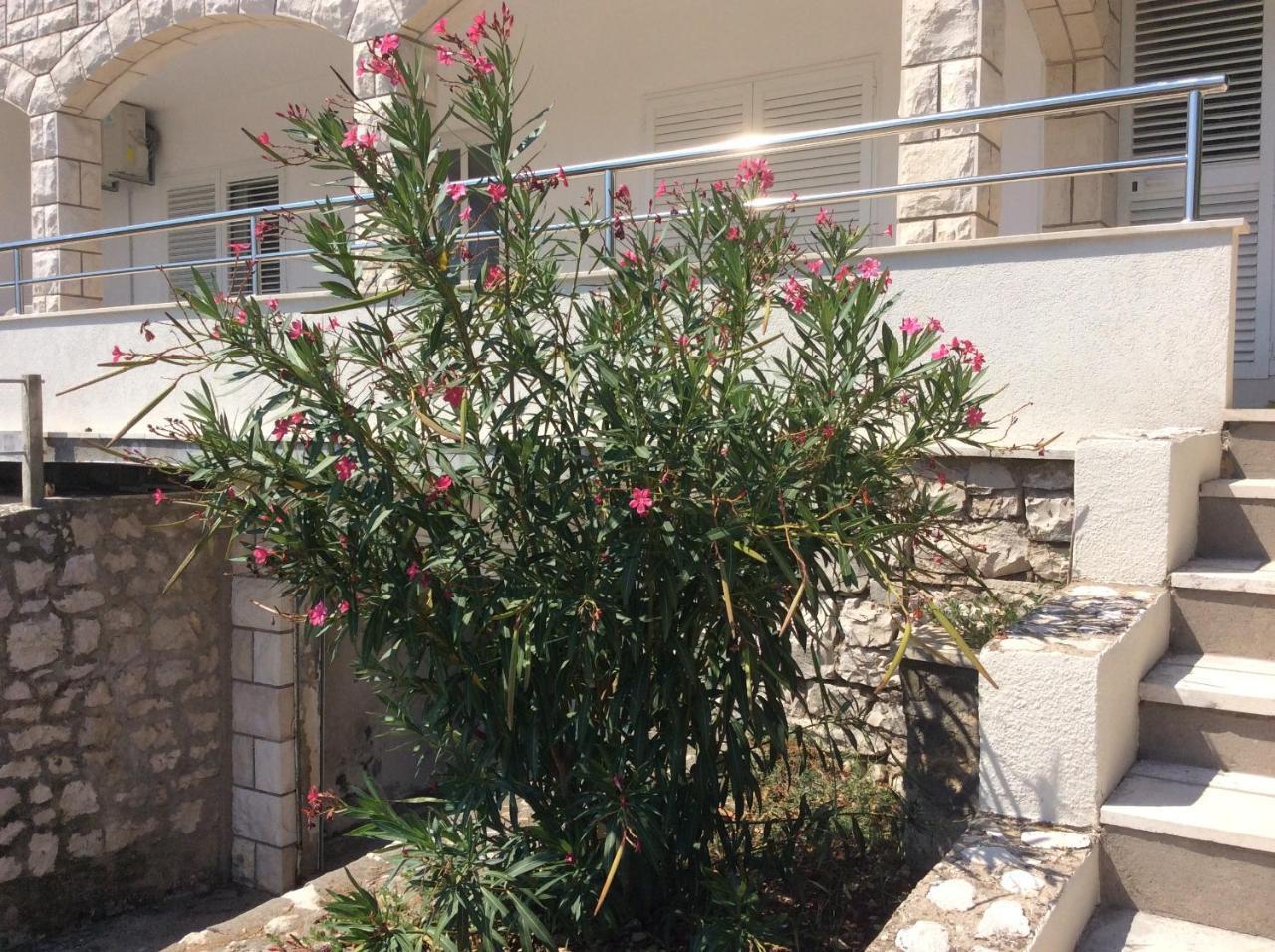 Lux Apartments Κόρτσουλα Εξωτερικό φωτογραφία